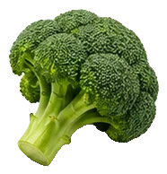 Fresh broccoli