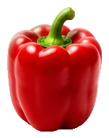 Fresh capsicum